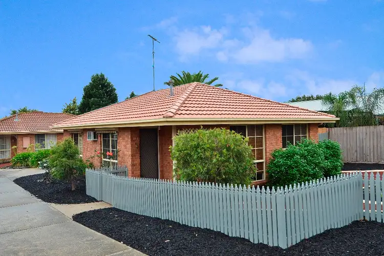 Main view of Homely unit listing, 1/161 Townsend Road, Whittington VIC 3219