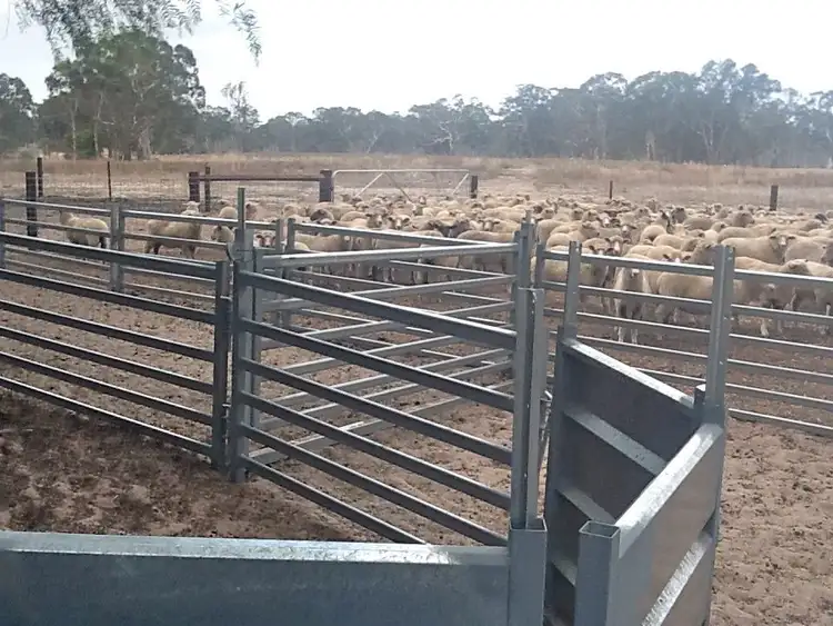 Third view of Homely rural property listing, Allot 42A Benayeo Road, Benayeo VIC 3319