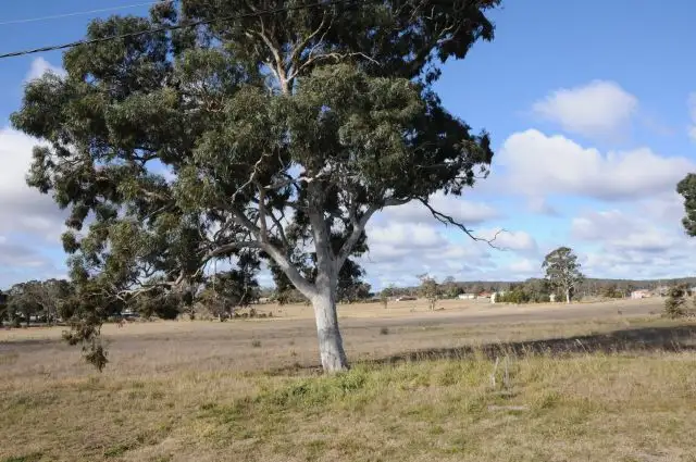 Main view of Homely land listing, Address available on request