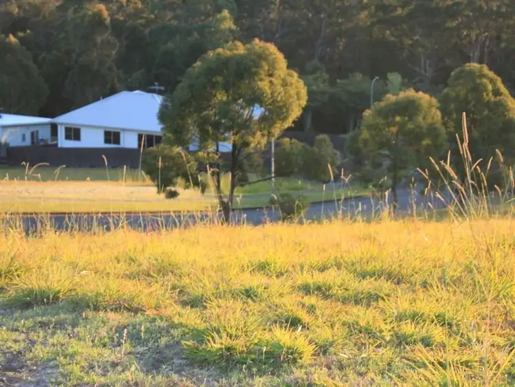 Fifth view of Homely land listing, 58 Marsupial Drive, Pottsville NSW 2489