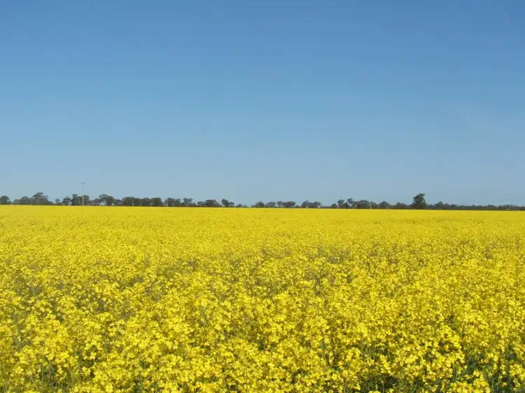 Third view of Homely rural property listing, 591 Warrangoon Siding Road, Mulwala NSW 2647