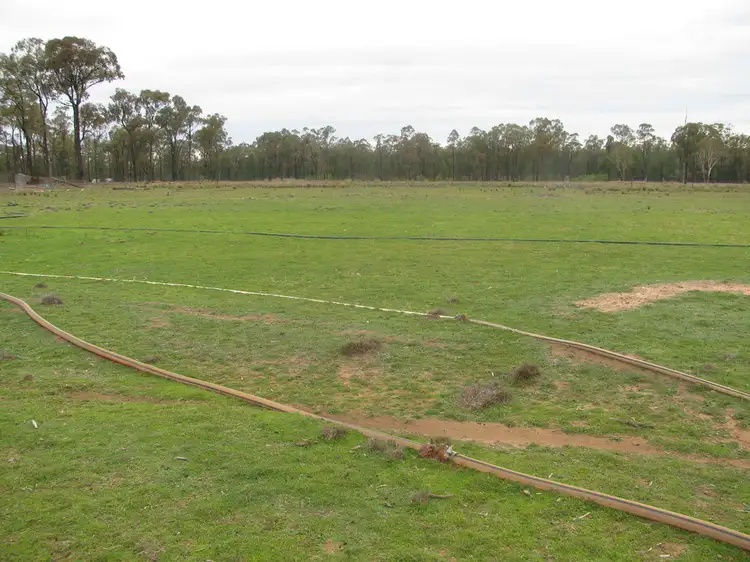 375 Tuppiari Rd, Jacks Creek NSW 2390
