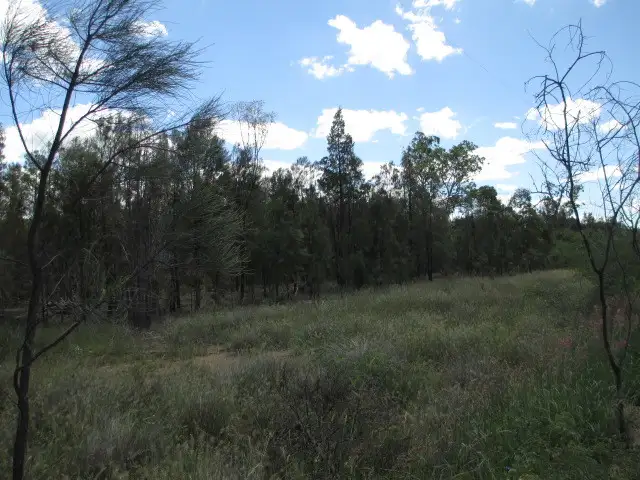 Third view of Homely rural property listing, LOT 117 ROCKY CRESCENT, Tara QLD 4421