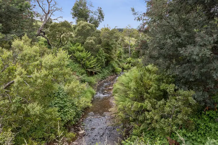 Fourth view of Homely rural property listing, 19 Lowries Road, Oldina TAS 7325