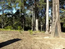 Fifth view of Homely land listing, 26 Bunderra Circuit, Lilli Pilli NSW 2536