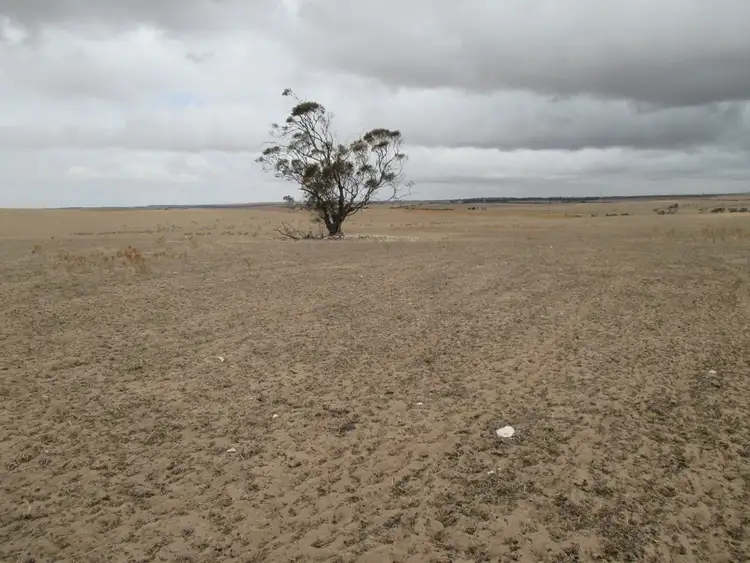 S219 Orland Rd, Tailem Bend SA 5260