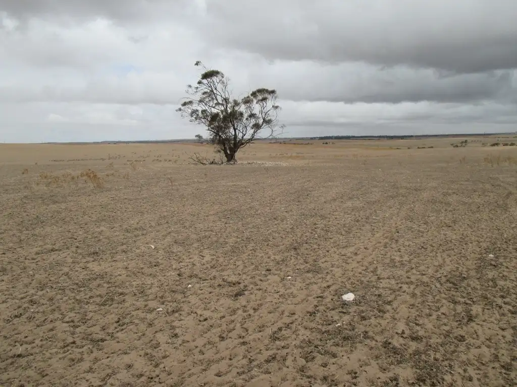 Main view of Homely rural property listing, S219 Orland Rd, Tailem Bend SA 5260