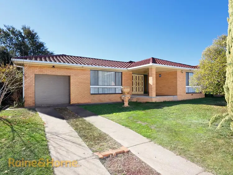 Main view of Homely house listing, 19 COYNE STREET, Mount Austin NSW 2650