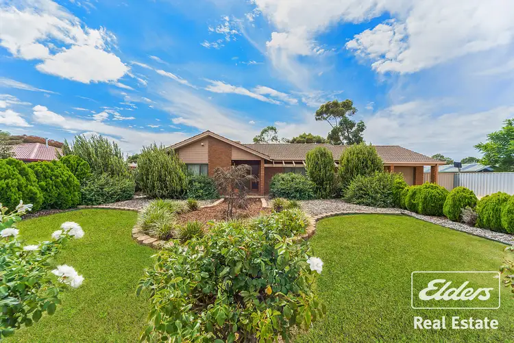 Main view of Homely house listing, 49 Fradd Road, Angle Vale SA 5117