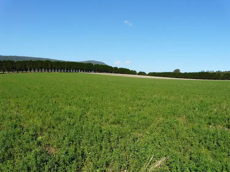Main view of Homely rural property listing, Address available on request