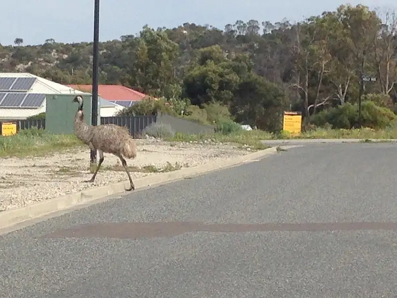 Main view of Homely land listing, 1 (Lot 8) Holly Rise, Coffin Bay SA 5607