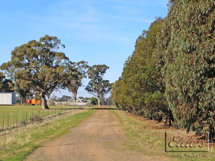 Fourth view of Homely rural property listing, Corner Collins Road and Goornong-Mayreef Road, Goornong VIC 3557