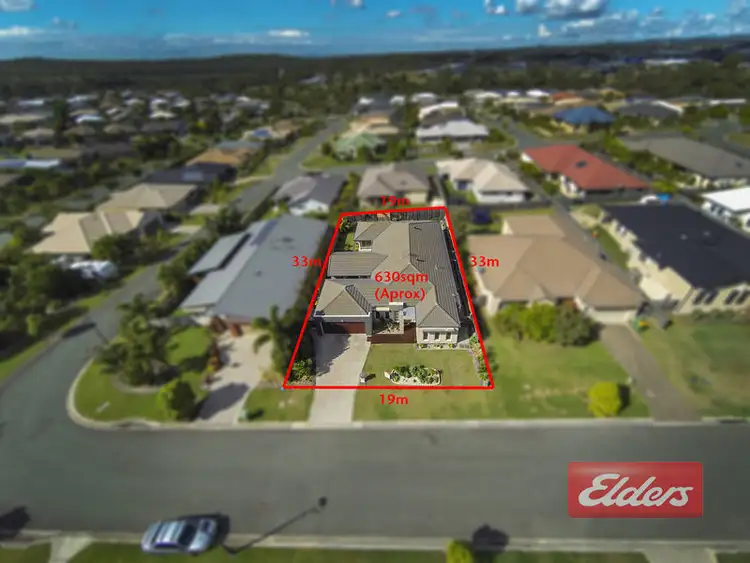 Second view of Homely house listing, 9 Amaranth Crescent, Upper Coomera QLD 4209