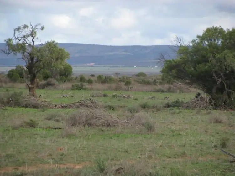 Main view of Homely rural property listing, Allotment 52 Lincoln Highway, Cowell SA 5602