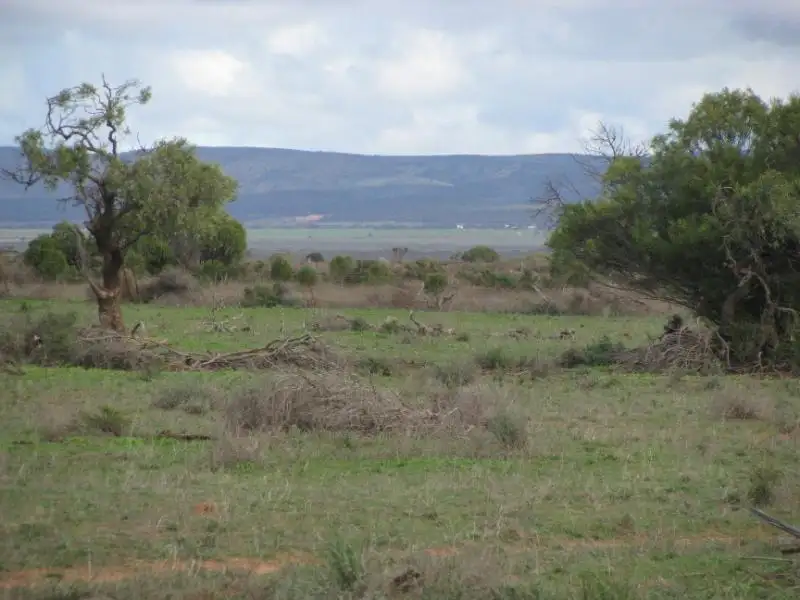 Main view of Homely rural property listing, Allotment 52 Lincoln Highway, Cowell SA 5602