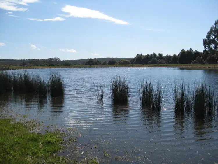 Second view of Homely rural property listing, 518 Harvey Road, Mount Barker WA 6324