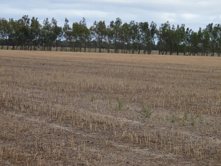 Sixth view of Homely rural property listing, 108 Camerons Road, Horsham VIC 3400