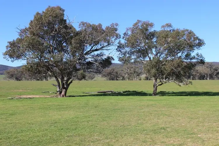 Fifth view of Homely rural property listing, 1520 Loombah Road, Yeoval NSW 2868