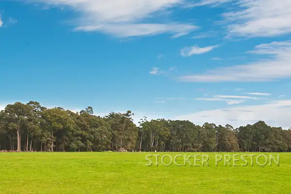 Second view of Homely rural property listing, P/L 101 WEST RD, Cowaramup WA 6284