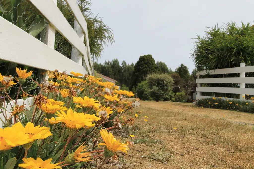Main view of Homely house listing, 35930 Tasman Highway, Springfield TAS 7260