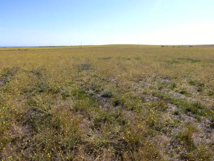 Fifth view of Homely land listing, Allotment 37 Andersons Rd, Streaky Bay SA 5680