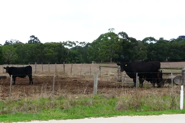 Third view of Homely land listing, Lot 25 McKay Road, Compton SA 5291