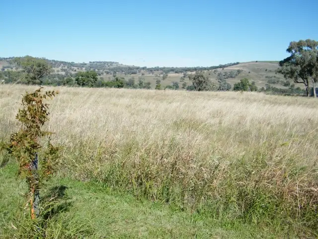 Fourth view of Homely rural property listing, 8 Raphie Howard Drive, Willow Tree NSW 2339
