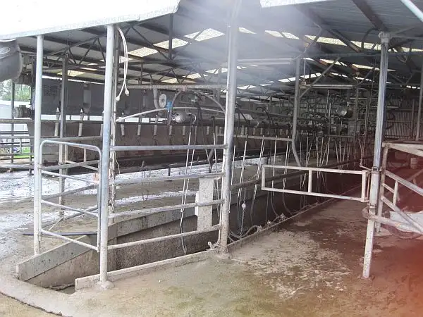 Fourth view of Homely rural property listing, Address available on request