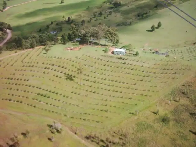 906 Pipeclay Road, Pipeclay NSW 2446