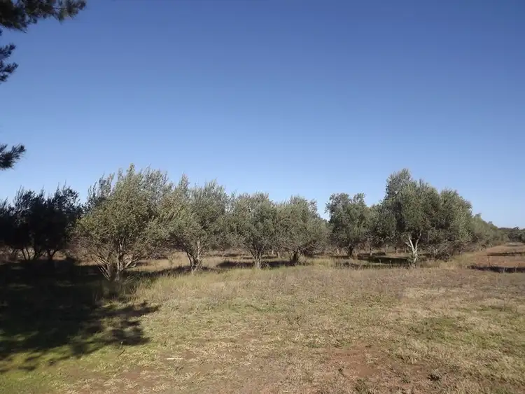 Seventh view of Homely rural property listing, Billabong Binnaway Road, Coonabarabran NSW 2357