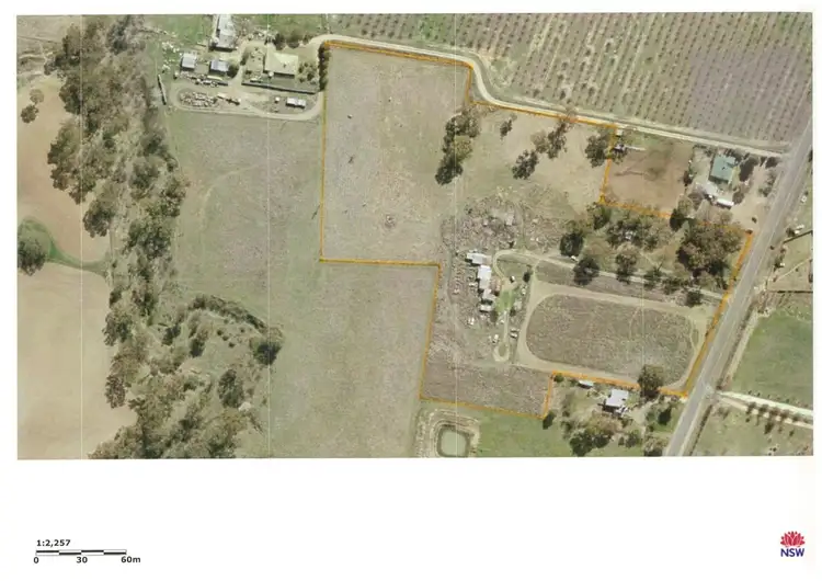 Second view of Homely rural property listing, 4701 Olypmic Highway, Young NSW 2594