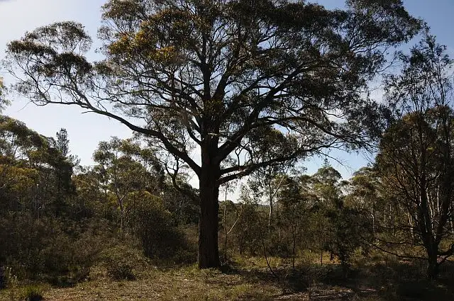 Fifth view of Homely rural property listing, Lot 5, 500 Hanging Rock Road, Sutton Forest NSW 2577