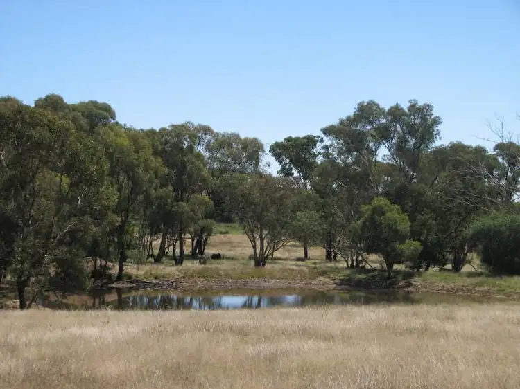 Second view of Homely rural property listing, 987 Monteagle Road, Young NSW 2594