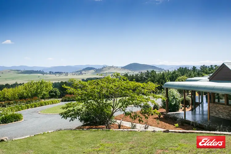 Main view of Homely house listing, 206 Gooromon Ponds Road, Wallaroo NSW 2618
