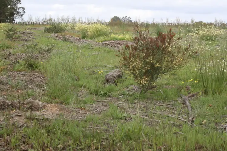 Fourth view of Homely rural property listing, Lot 6 South Western Highway, Manjimup WA 6258
