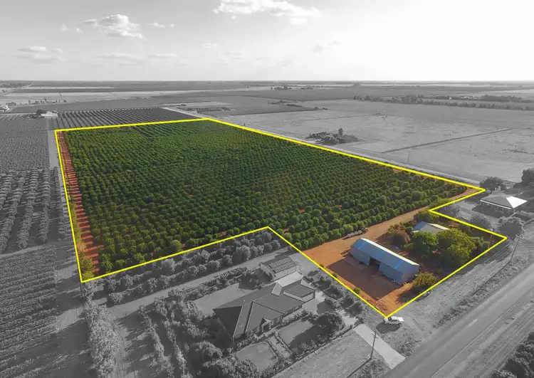1183 Snaidero Road, Griffith NSW 2680