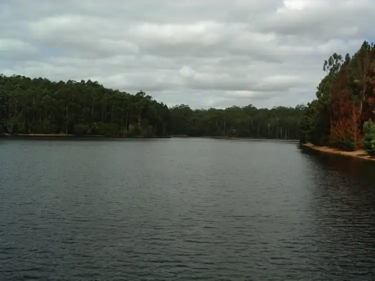 Fifth view of Homely land listing, LOT 118 KARRI LANE, Quinninup WA 6258