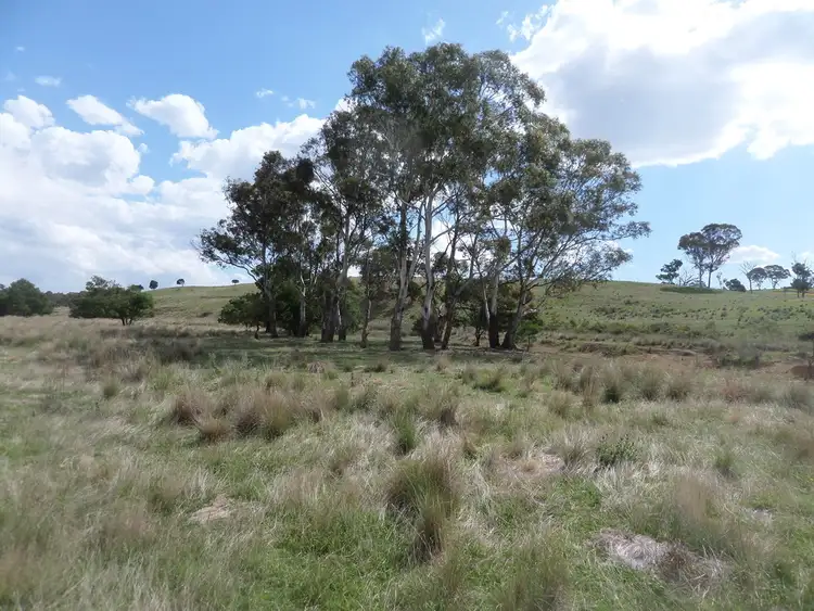 Sixth view of Homely rural property listing, 3396 Windellema Road, Windellama NSW 2580