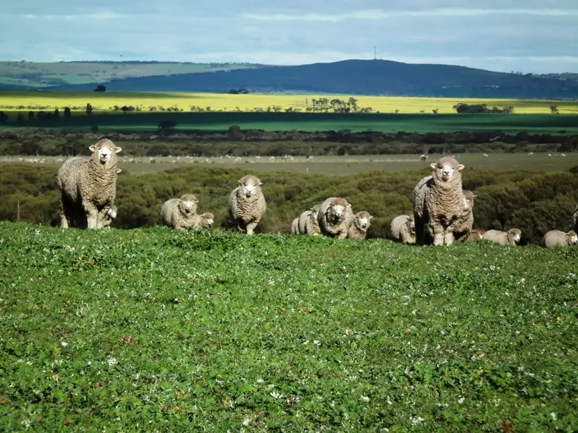 Main view of Homely rural property listing, Section 21 Gap Road, Edillilie SA 5630