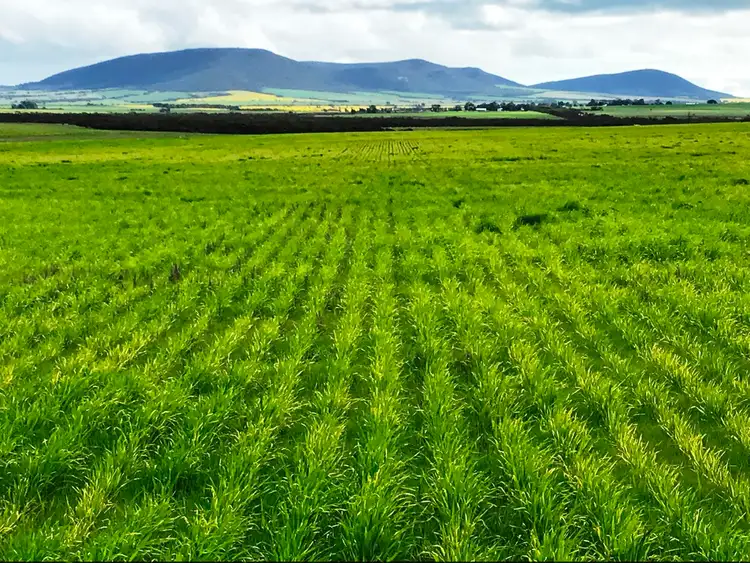 Third view of Homely rural property listing, Section 21 Gap Road, Edillilie SA 5630