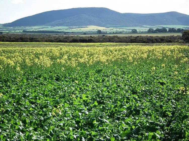 Fifth view of Homely rural property listing, Section 21 Gap Road, Edillilie SA 5630