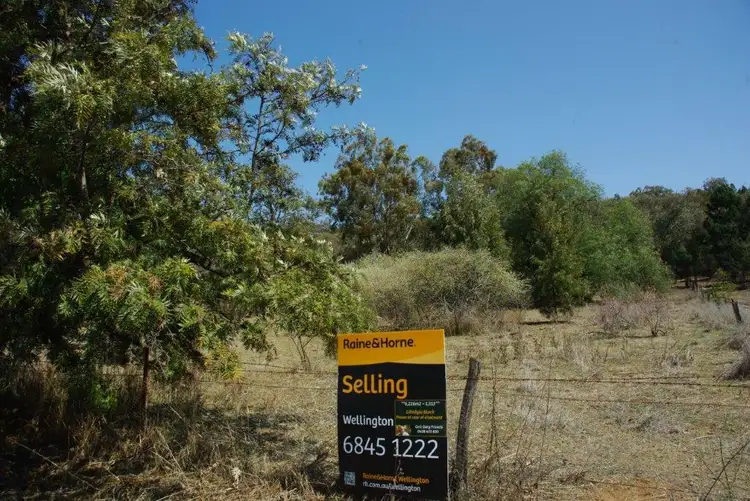 Main view of Homely rural property listing, 46 Oxley Avenue, Wellington NSW 2820