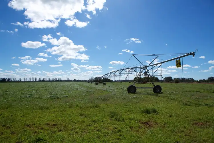 Main view of Homely rural property listing, 4209 Goulburn Valley Highway, Katunga VIC 3640
