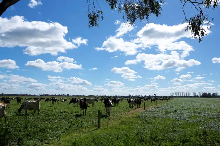 Third view of Homely rural property listing, 4209 Goulburn Valley Highway, Katunga VIC 3640