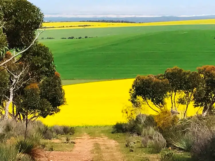 Second view of Homely rural property listing, Allotment 91 Hannford Road, Green Patch, Port Lincoln SA 5606