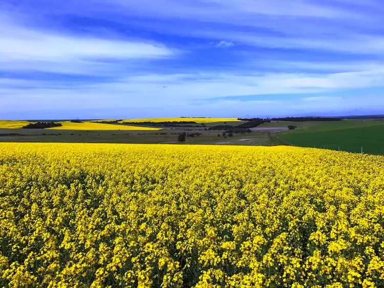 Third view of Homely rural property listing, Allotment 91 Hannford Road, Green Patch, Port Lincoln SA 5606