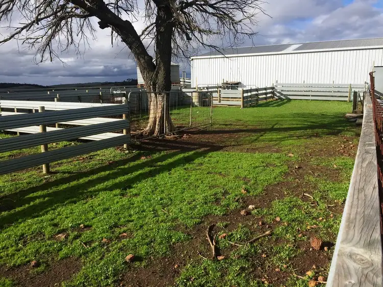 Fourth view of Homely rural property listing, Allotment 91 Hannford Road, Green Patch, Port Lincoln SA 5606