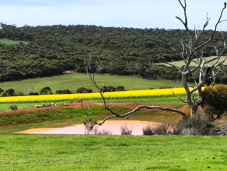 Fifth view of Homely rural property listing, Allotment 91 Hannford Road, Green Patch, Port Lincoln SA 5606