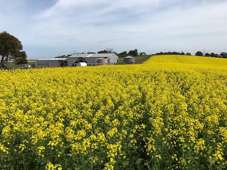 Seventh view of Homely rural property listing, Allotment 91 Hannford Road, Green Patch, Port Lincoln SA 5606