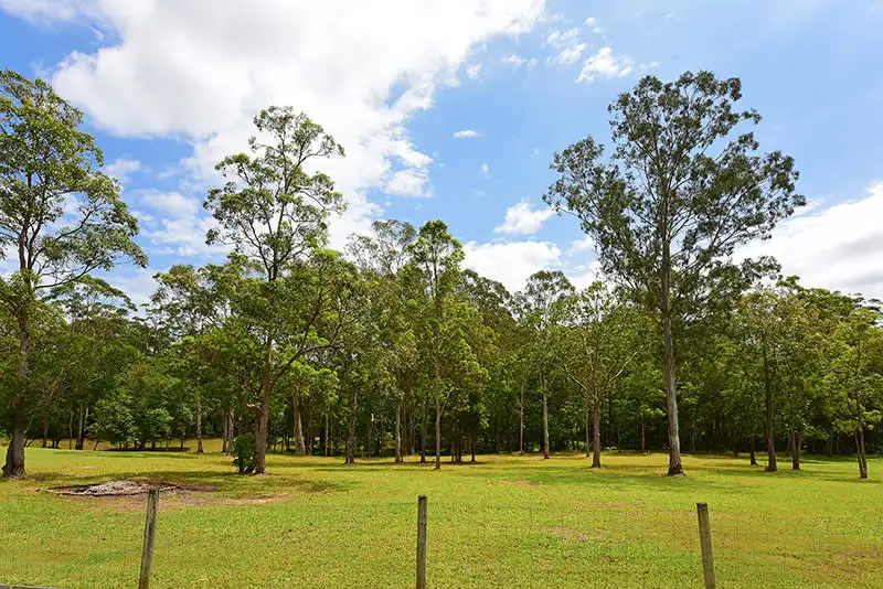 Main view of Homely land listing, Lot 103 51 Shaws Road, Beerwah QLD 4519